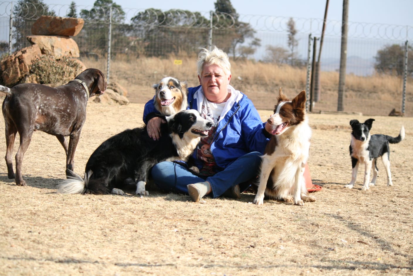 Julie sitting in the open field surrounded by collies and other dogs in her care